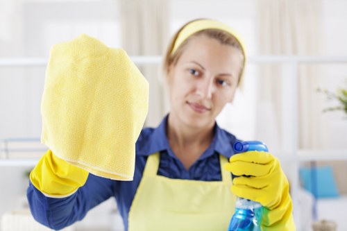 Clean oven exterior after professional cleaning service