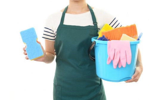 Cleaning technicians performing facade and oven cleaning