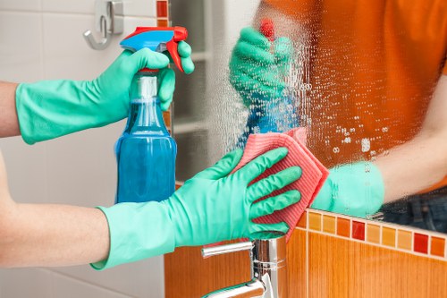 Professional cleaning team working on an oven