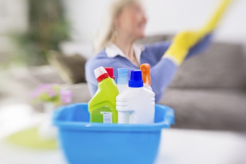 Eco-friendly cleaning products used in oven cleaning