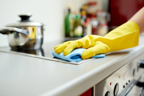 Technician inspecting a modern kitchen oven