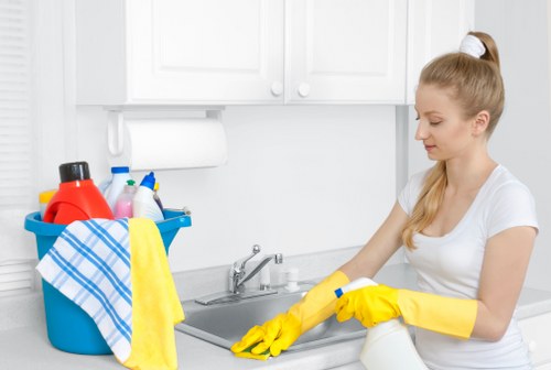 Various types of oven cleaning services