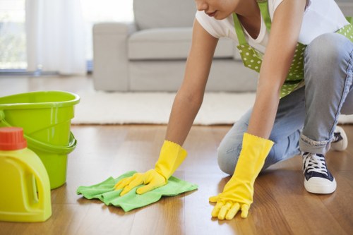 Team of professional cleaners at work