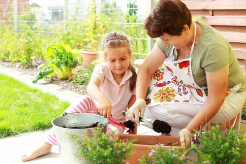 Eco-friendly oven cleaning solutions in action