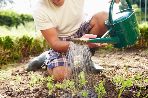 Eco-friendly oven cleaning solutions
